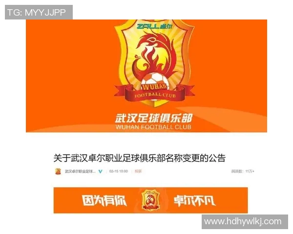 武汉足球队个人能力分析与表现评估研究报告