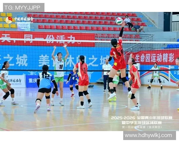 重庆排球队在最新排球团队协作排行榜中夺冠引发热议